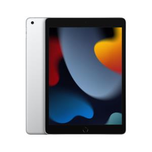iPad - 10.2in - (9th Generation) - Wi-Fi - 256GB - Silver