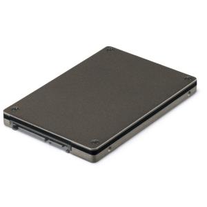 SSD 800GB 2.5 Inch Enterprise Performance 12g SAS SSD(3x Dwpd)