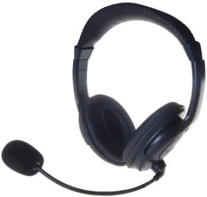 Headset With Boom Microphone